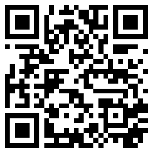 QR Code DMF-0029